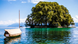 helpjackisalive:  Little Island Rolle, Switzerland