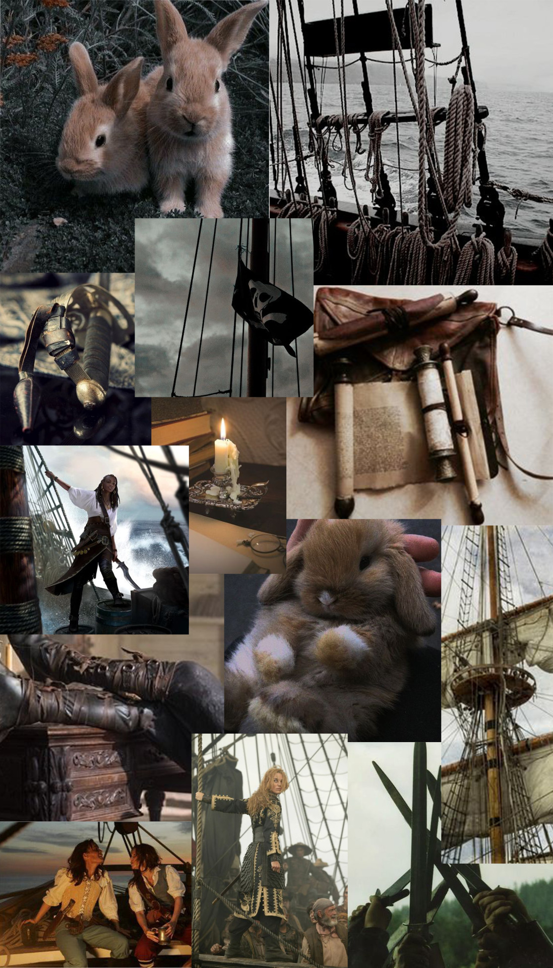 ✨Pirates and Bunnies ✨ requested by @captain-of-the-historicfuture