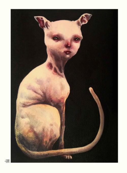 mirrormaskcamera:از ما بهترانby Afarin SajediAlso