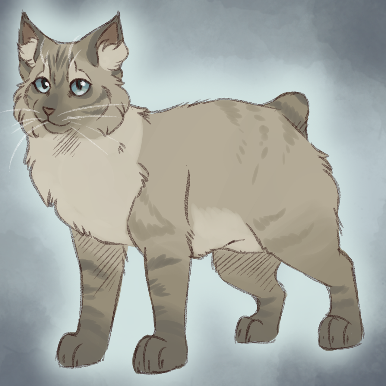 Slugs genetically accurate cats — Ashfur redo (Blue spotted tabby with low  white