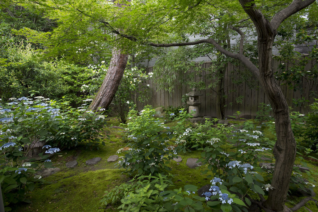 quiet-nymph:  Photography by Patrick Vierthaler   