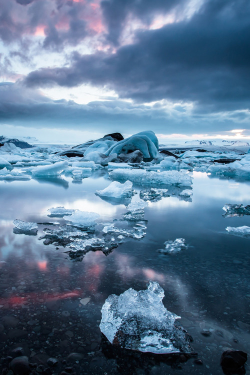 earthyday:Jökulsarlon in Icelandx Roman Burri