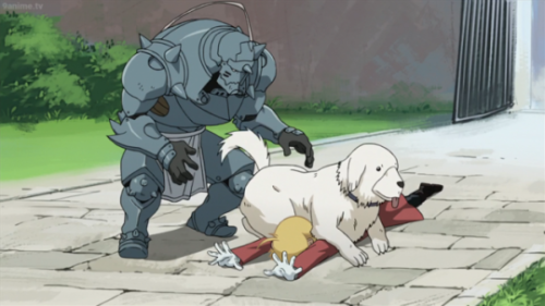 sofibeth:FMA Comparsion:        Dog Attack