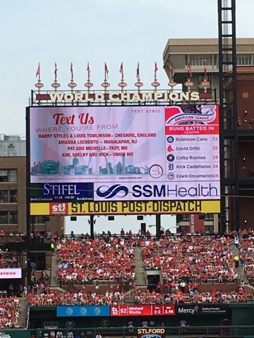 lavenderlouie:One time I went to a baseball game and found out there was a fellow larrie in the stan