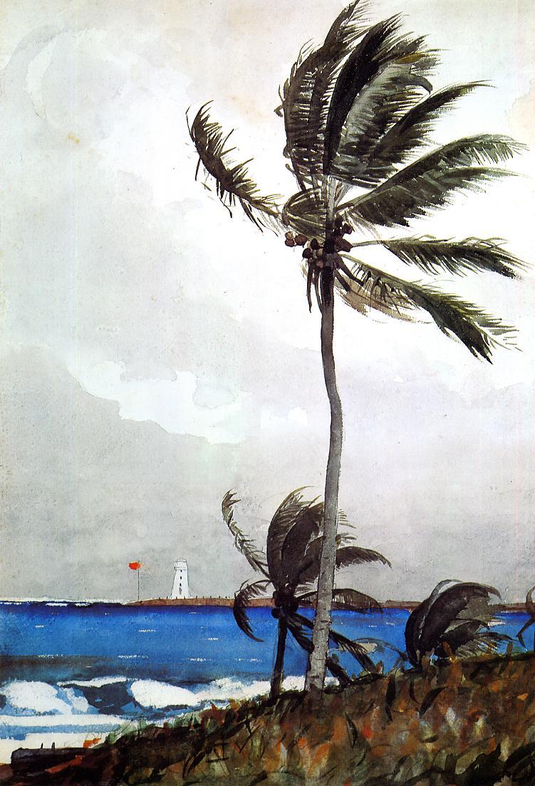 transistoradio:  Winslow Homer, Palm Tree, Nassau (1898), watercolour. Via The Athenaeum.