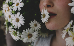 floralls:  by Michael Färber