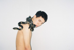 seitat:  By Ren-Hang