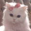 miwiimi