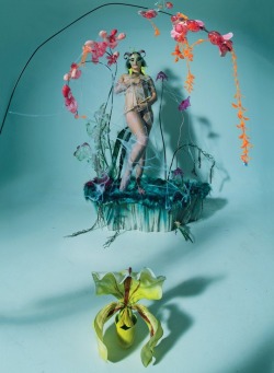 femmequeens:Björk photographed Tim Walker,