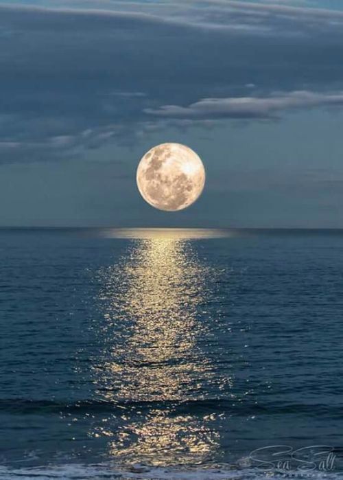 omg-sweetunlikelycollector-me:  brookbooh:  Full moon  @possit-de-tenebris 
