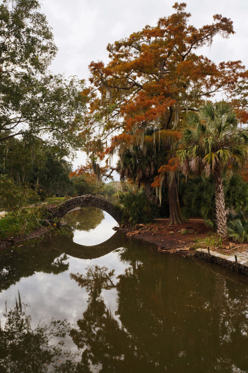 ofbeautsandbeasts: Stone Bridge at City Park in New Orleans