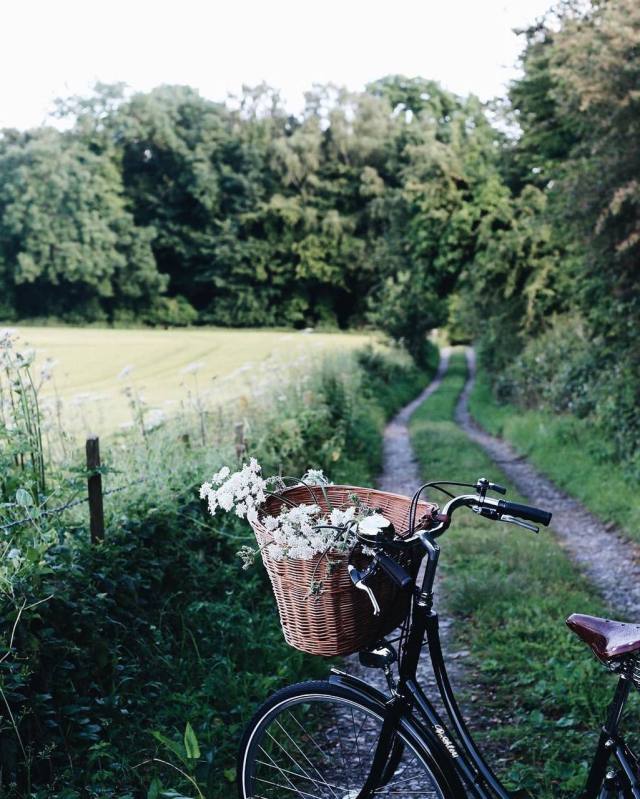 See lots more at  https://blog2collectionsanfavs.tumblr.com/ #bycicle#basket#gravel roads#back roads#driveway#country living#fav#fence#pasture