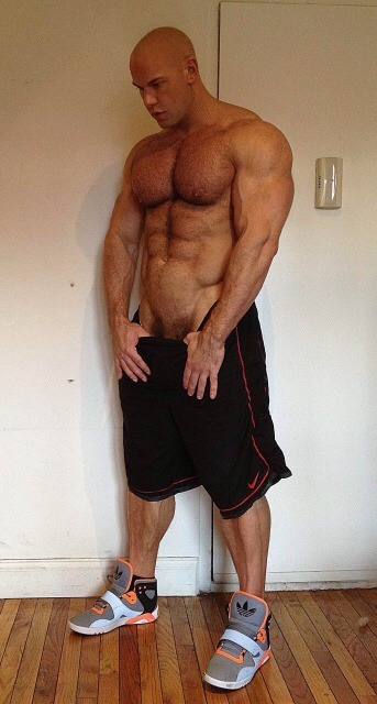 musclehank:  JJ Forte, muscle beast