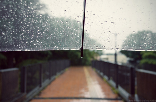 梅雨 Japan&rsquo;s rainy season goes on from early June until late July. The humidity is like noth