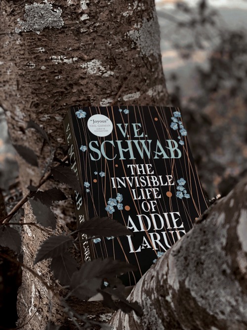 BOOK REVIEW: The Invisible Life of Addie LaRue by V. E. SchwabWhen Addie La Rue makes a pact with th