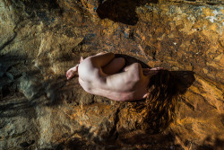 philipwernerfoto:  Doe near Anvil Rock Lookout.Blackheath, NSW.Philip WernerJuly 2015
