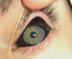 rhubarbes: Eye tattoo via Deadfix More Tattoo