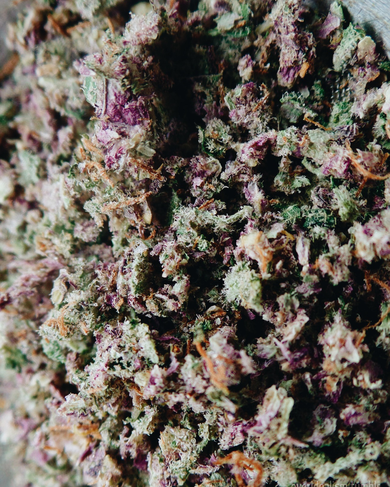 Must be the ganja
