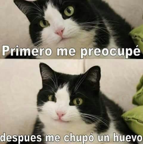 Mi Ex es una Meme 2.0