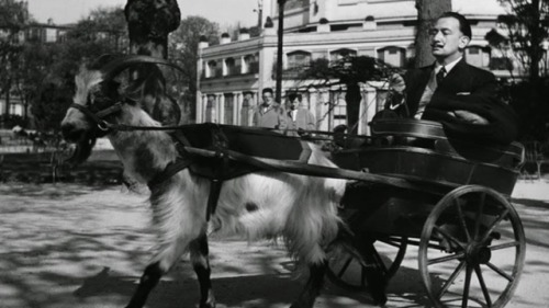 Sex Salvador Dali dans une charrette tirée par pictures