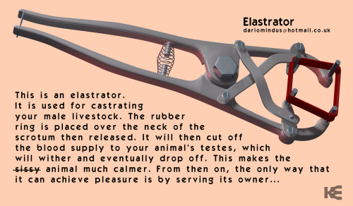 damnd1: Elastrator * Can also be used on cheating partners.