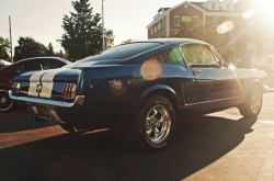 JUST THE COOLEST MUSTANGS