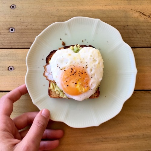 Avocado + fried egg on low carb protein toast 