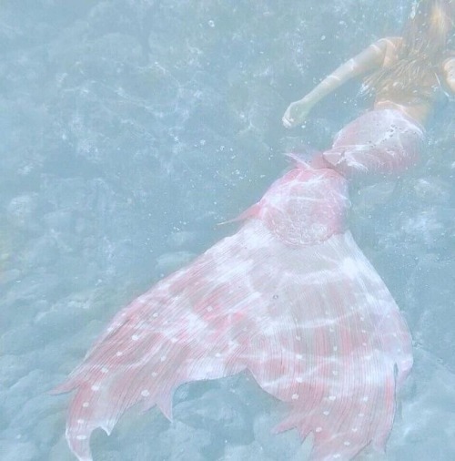 Sorry I Feel It Needs More Mermaids So Heres All The Mermaids You Need