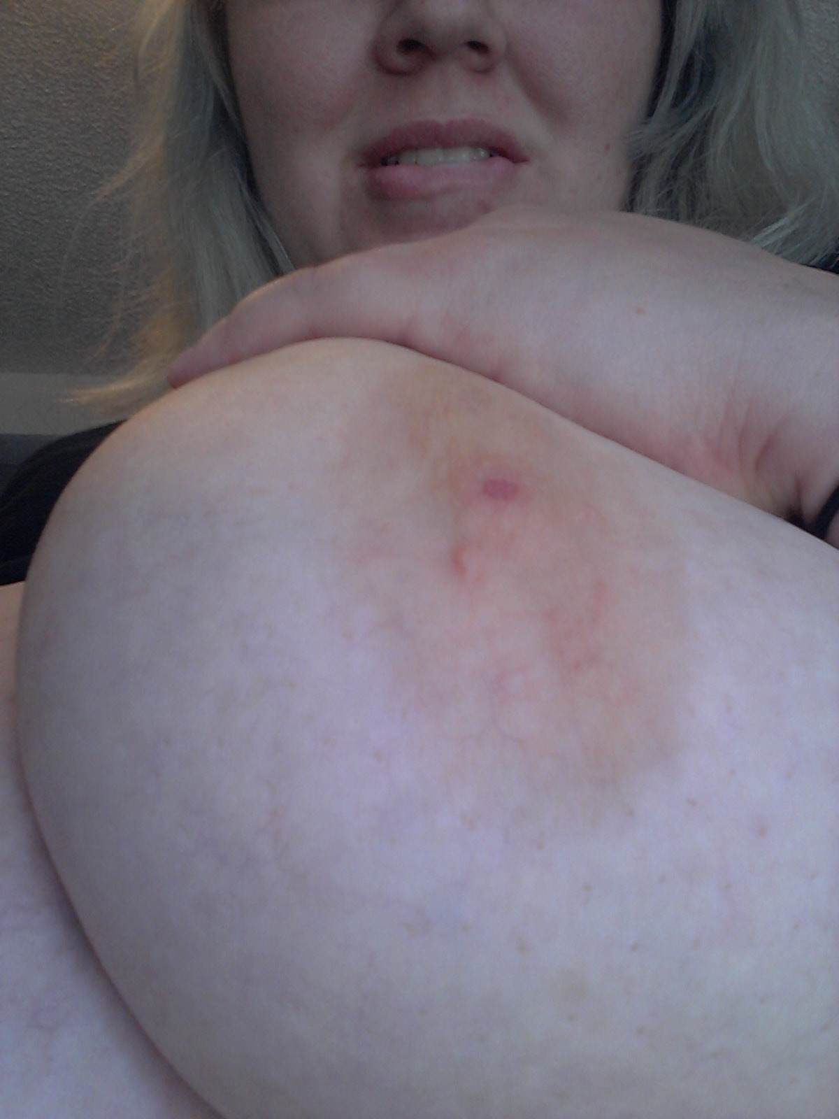 pieuvrepie:  feeling really cute today, please enjoy this nip.