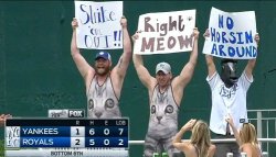 collegehumor:  Just a Couple of Completely Normal Baseball Fans You can really see the passion in their eyes. Their cold, unblinking horse eyes.