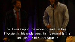 iamthetwickster:  WAIT WHAT