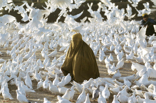 misswallflower: merasturdaenkeste:‘Pigeon feeding near Blue Mosque’, 1991, Steve McCurry