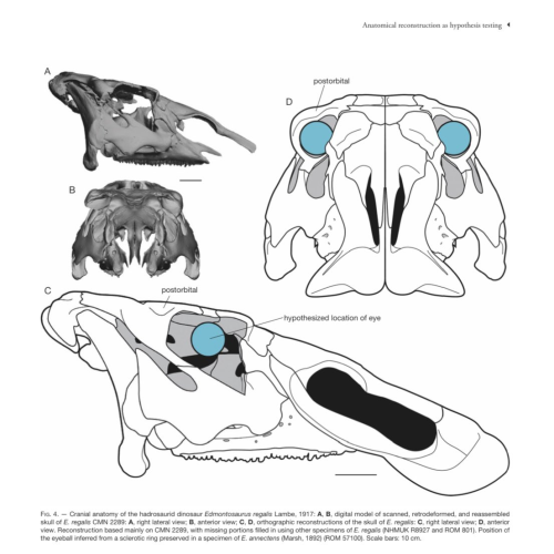 And Here It Is, My Newest Addition To The "valid To Eat Body Parts" Series. Showing Extinct Animals Starring