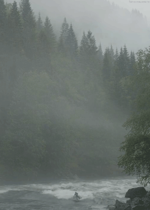 preciousandfregilethings:  hurleyclothing: Get out of your comfort zone.  