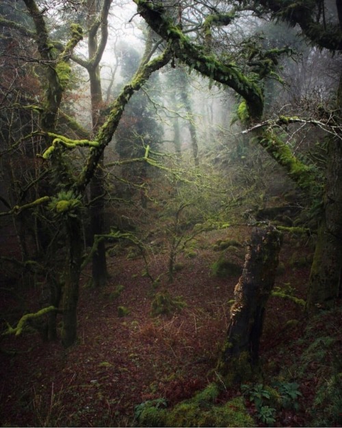 quiet-nymph:Photography byRebecca Human being Escape artist Rain or shine.
