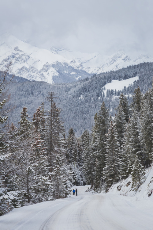 moewanders:A Long Walk HomeBanff, Canada, 12/17/14