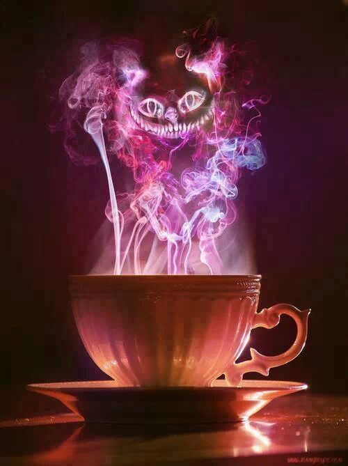 //  // ]]>