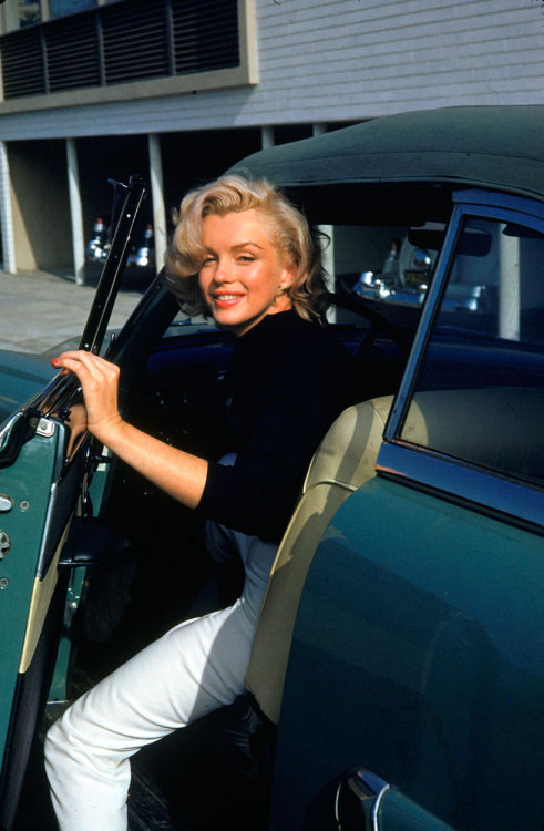 fawnvelveteen:  Marilyn Monroe, 1953.Alfred Eisenstaedt/Life Pictures/Shutterstock