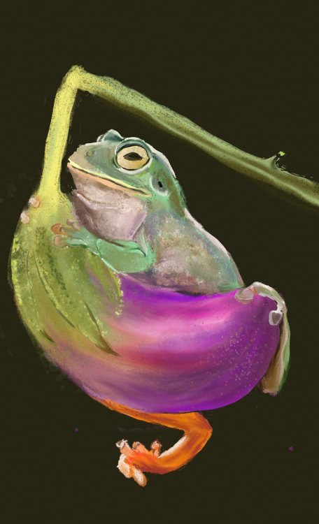 @naturelvr-69 Good morning Jennifer! Apparently, this frog likes eggplants, one of my favorite veggi