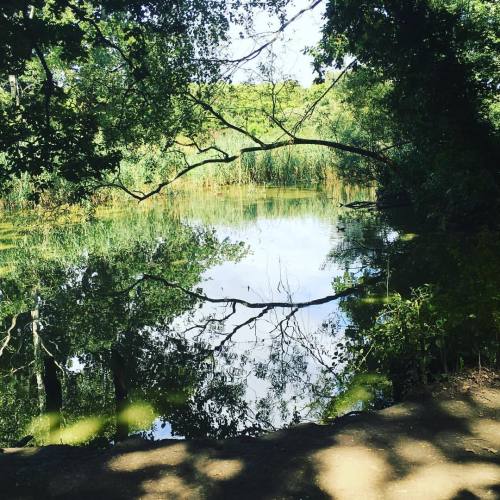 17sailors: Upton country park (at Upton Country Park)