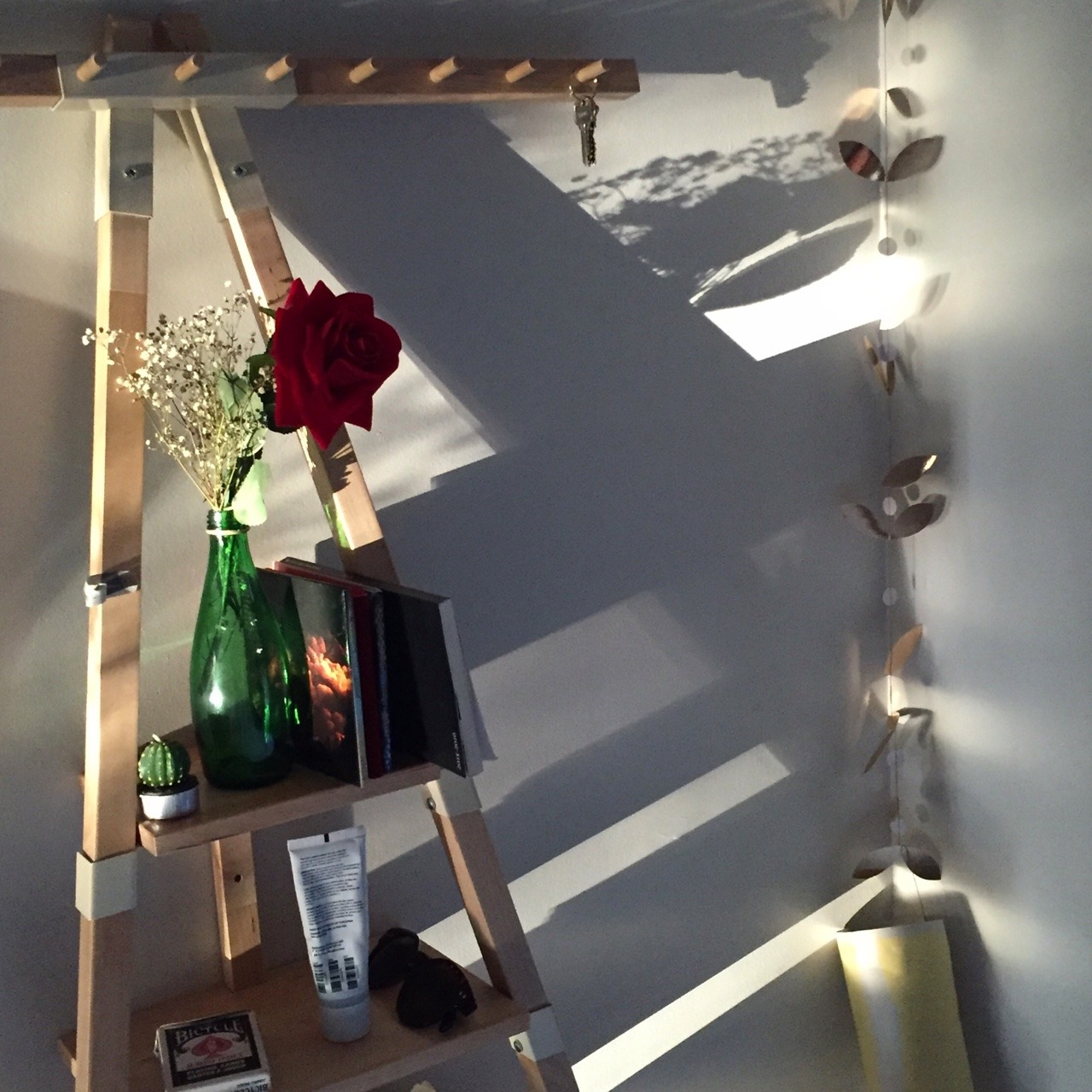 erynlou:  flowers + shadows