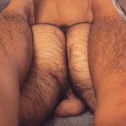 thebearunderground:  Follow The Bear UndergroundOver 46,000+ posts of hot hairy men and 20,000+ followers