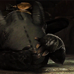 acebard:  Poor cutie Toothless 