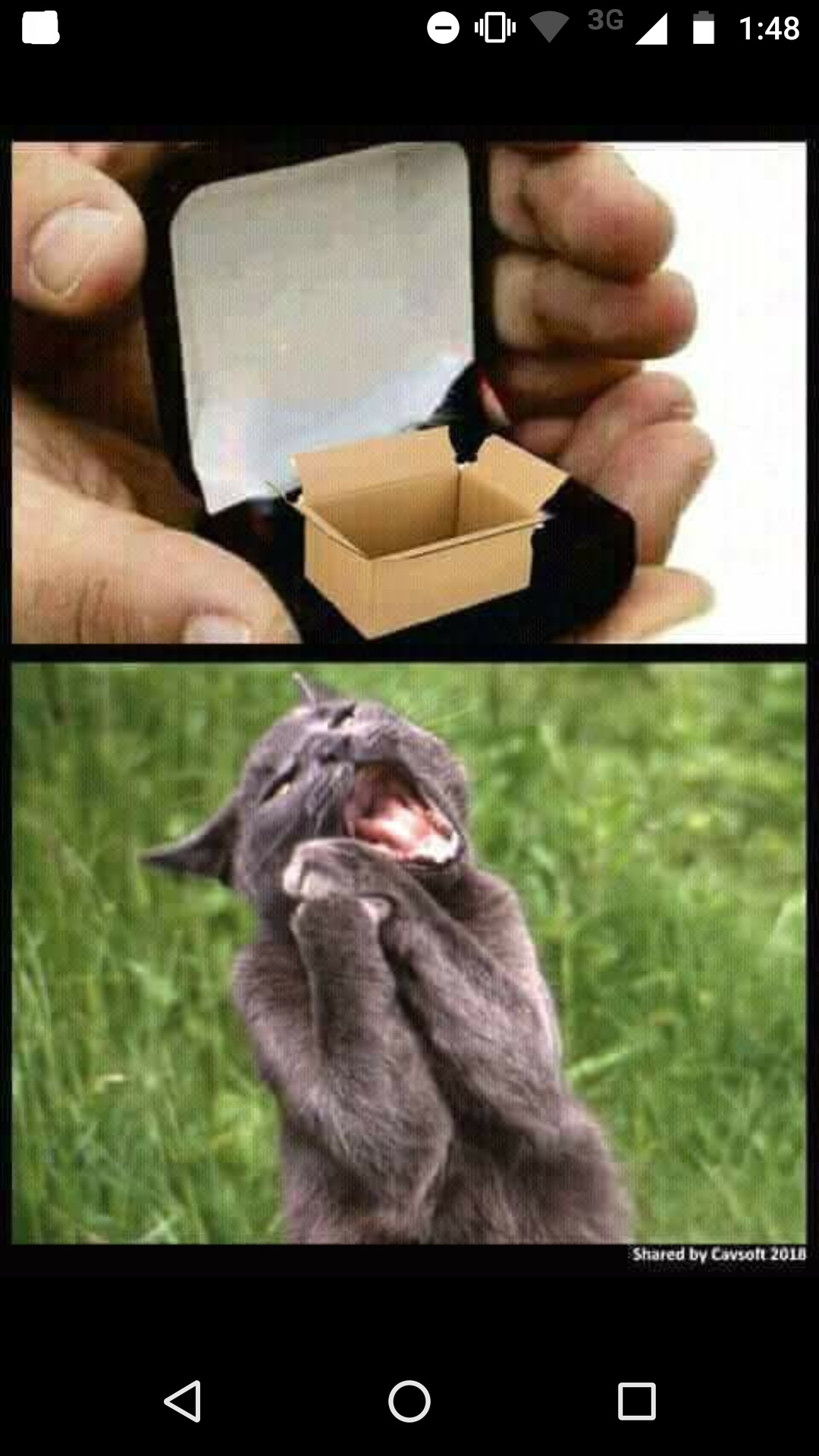 sonlosgatosespaciales:  