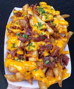 food-porn-diary:  Bacon and Cheese fries [615x741]