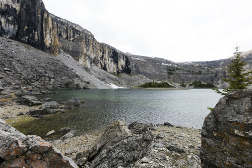 meg-in-yeg:Lunch views(Castle Mountain hike)