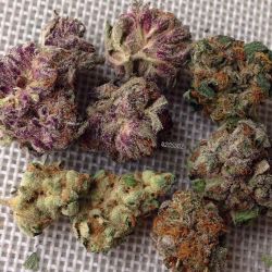 weedporndaily:  by @420sudz  Purp