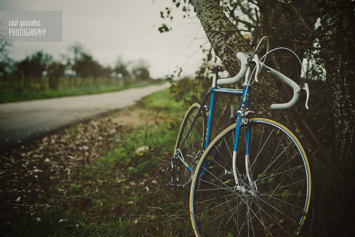 -letitreign: diciembre. by raul gonza|ez on Flickr.