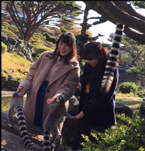 アニマル♡｜矢島舞美オフィシャルブログ Powered by Ameba