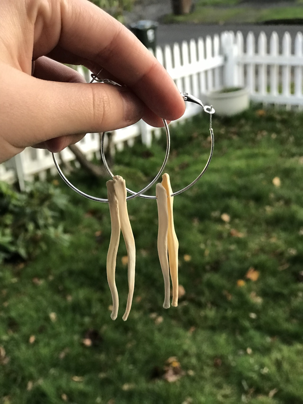 zooophagous: thecandidofdoriangray:  cheapetsy: Coyote penis bone hoop earrings from